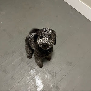 Meet your Posher, Christian